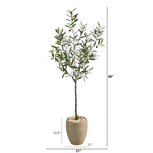 a tree in a pot