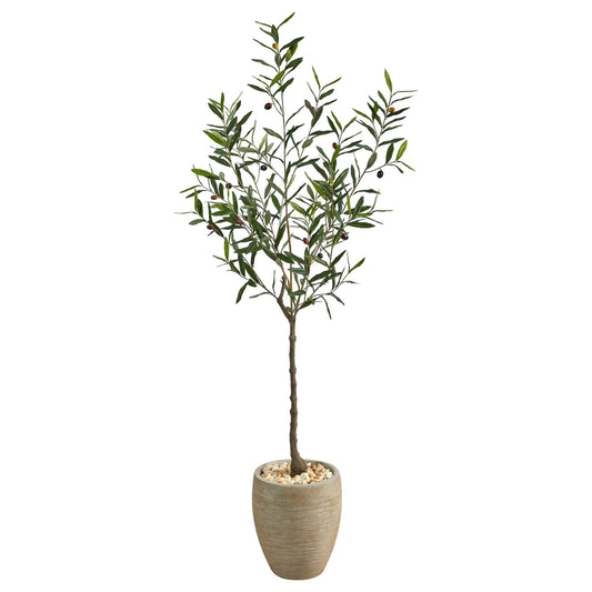 a tree in a pot