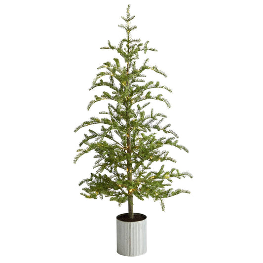 a tree in a pot