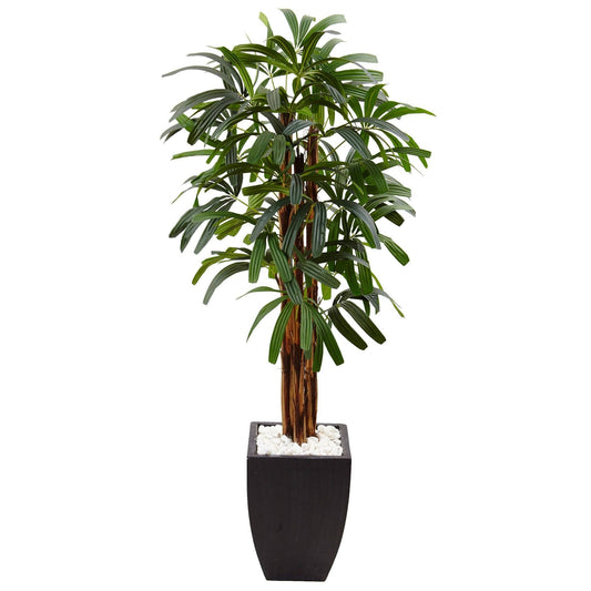 a plant in a pot