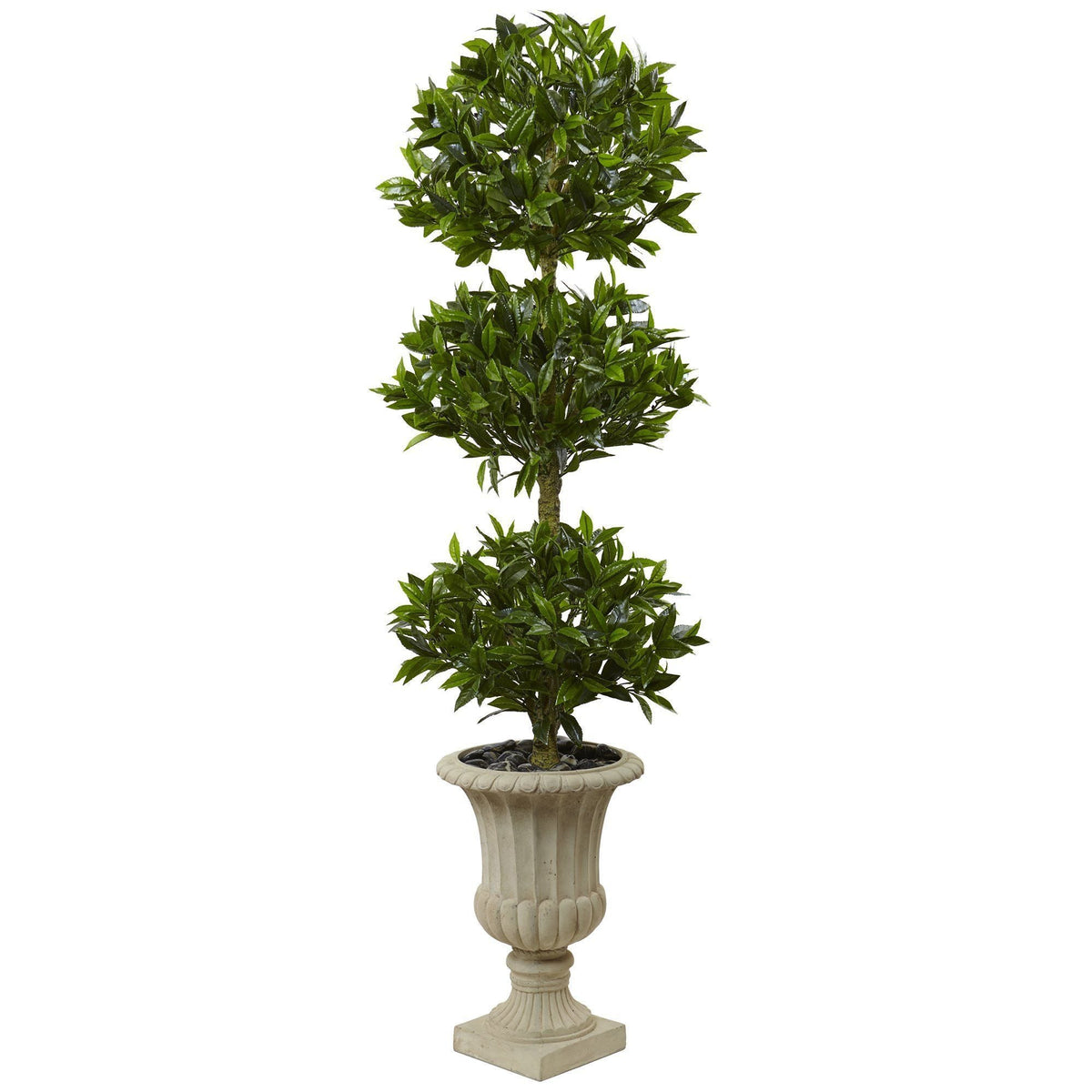 a plant in a pot