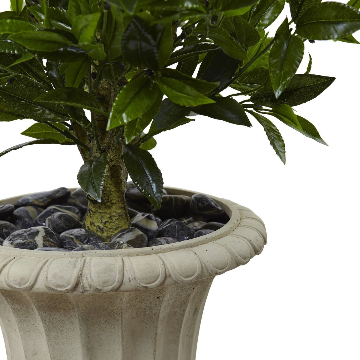 a potted plant with a small plant