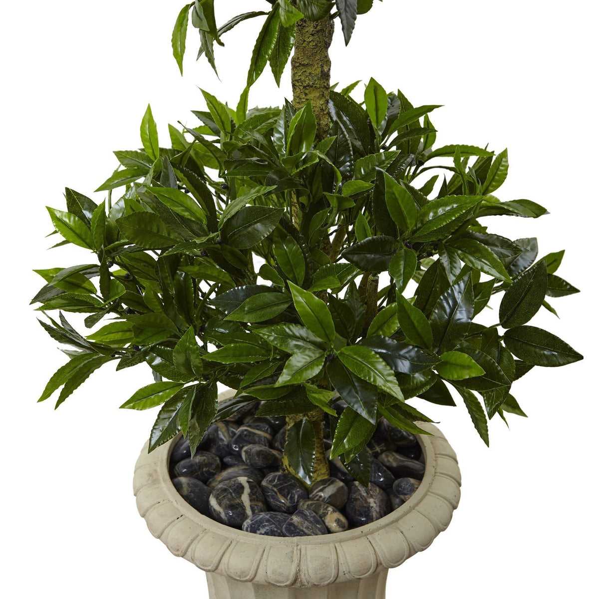 a plant in a pot