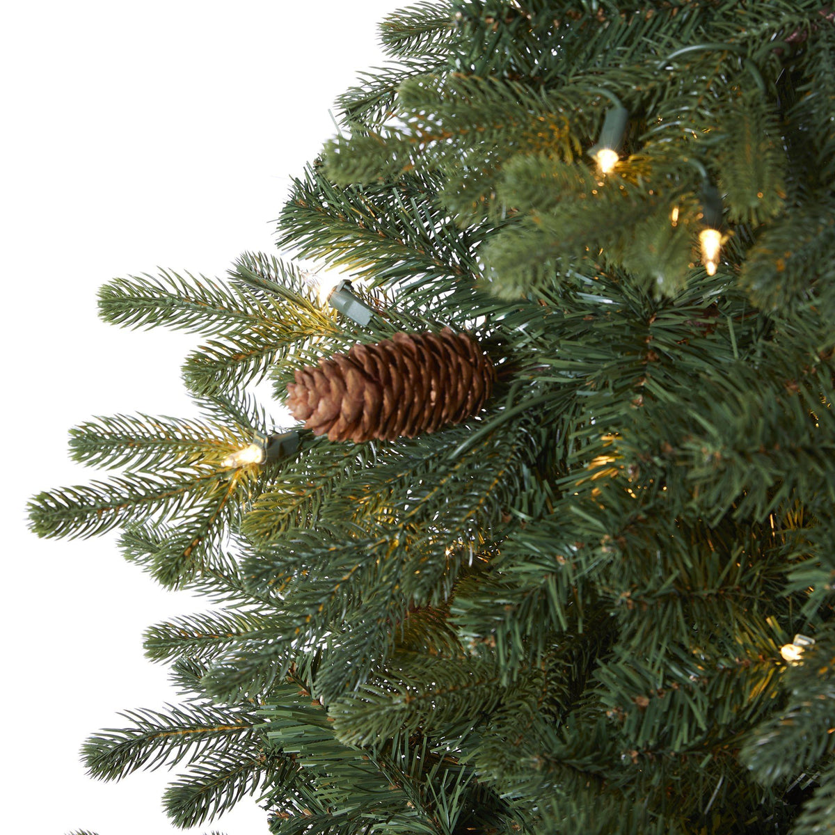 a pine cone on a tree