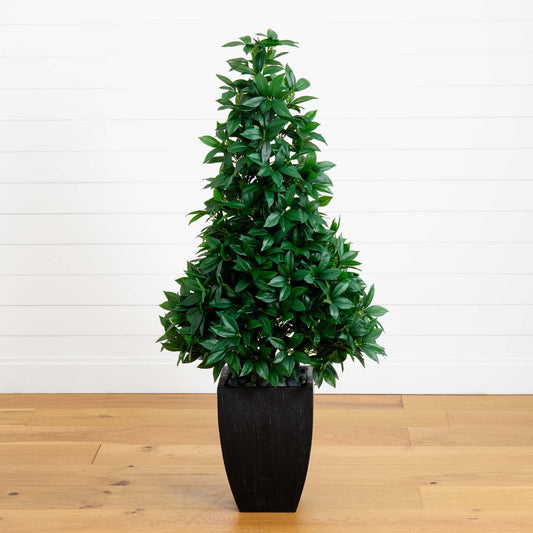 a plant in a pot