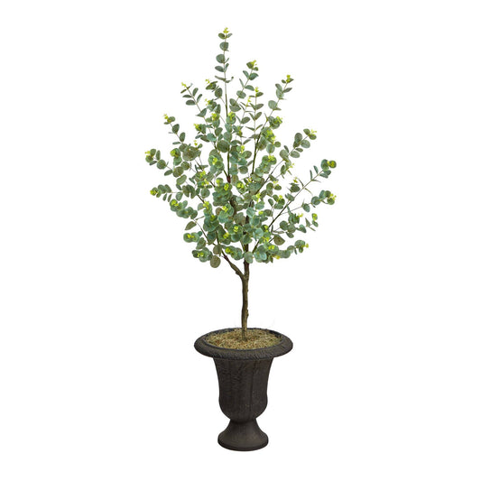 a potted plant with leaves