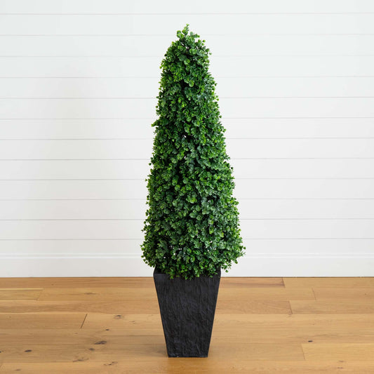 a plant in a pot