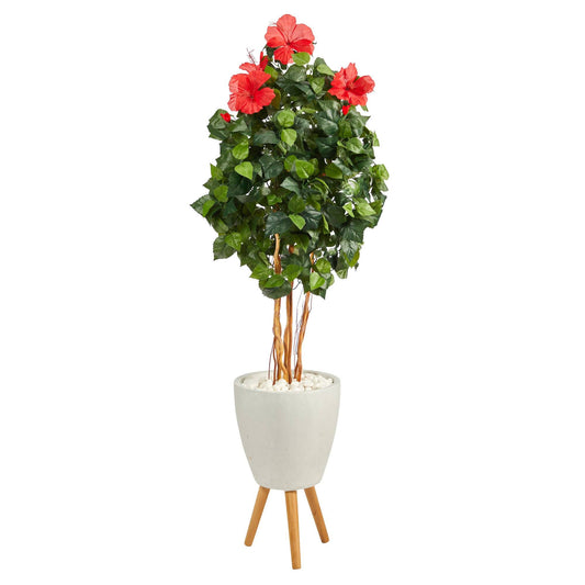 a plant in a pot