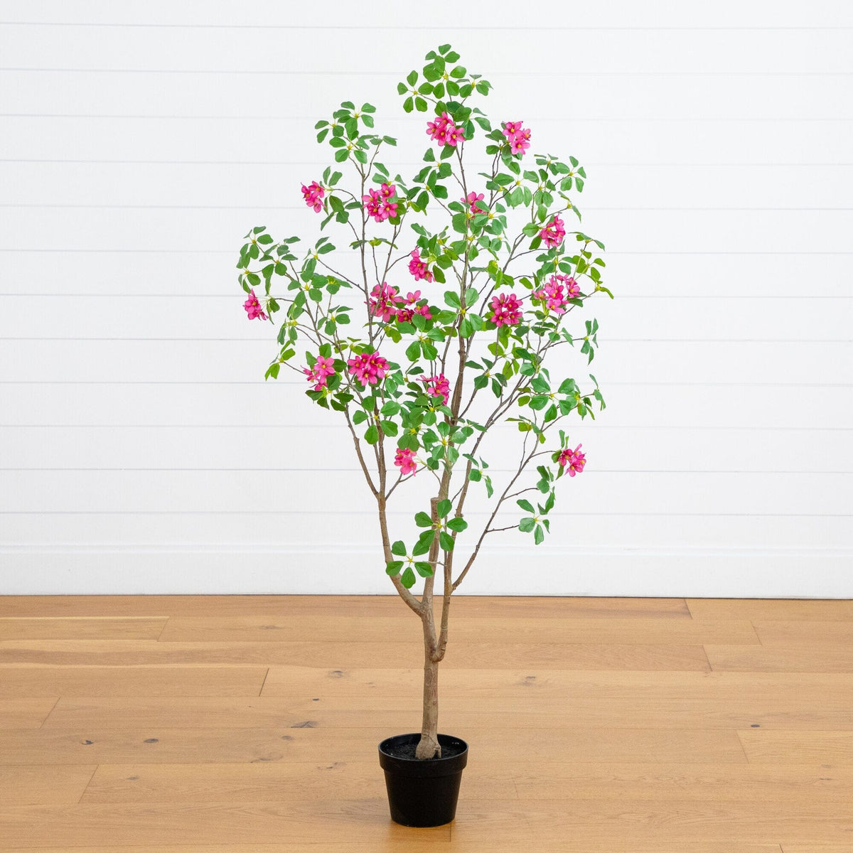 a tree with pink flowers in a pot