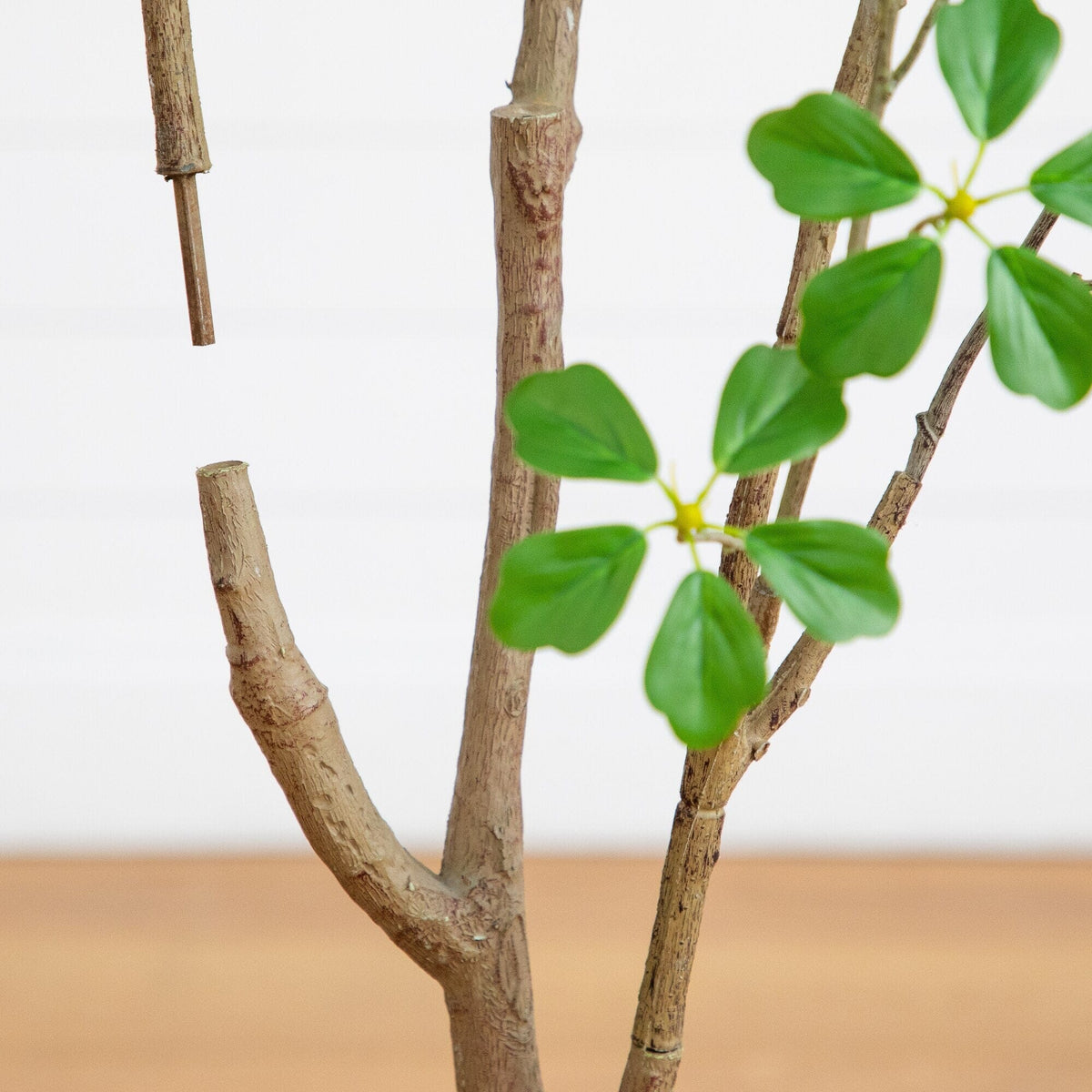 a tree branch with green leaves