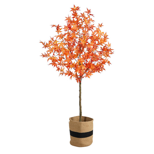 a tree in a pot