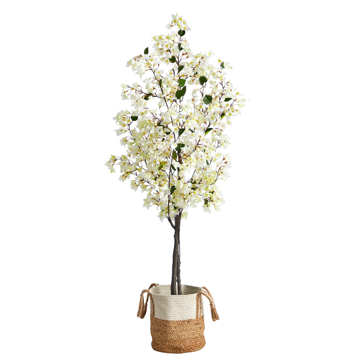 a tree with white flowers in a basket
