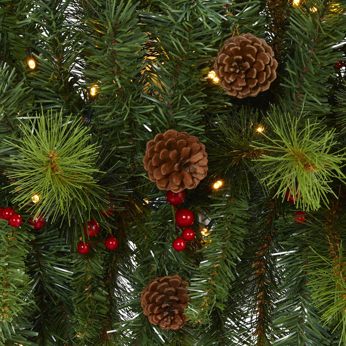 a close up of a tree