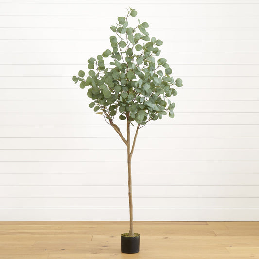 a tree in a pot