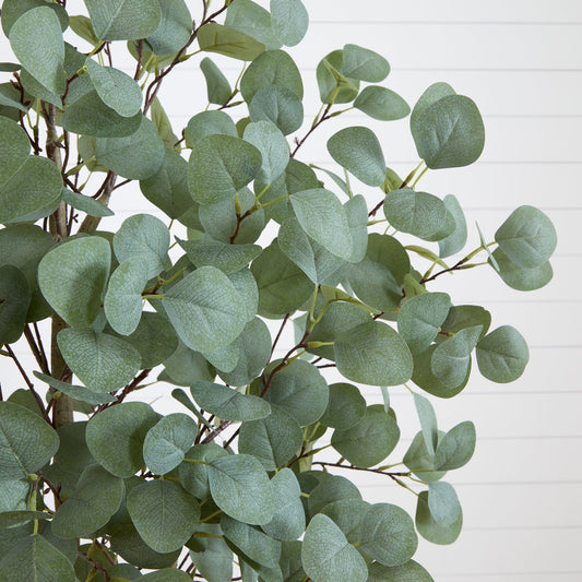 a close up of a plant