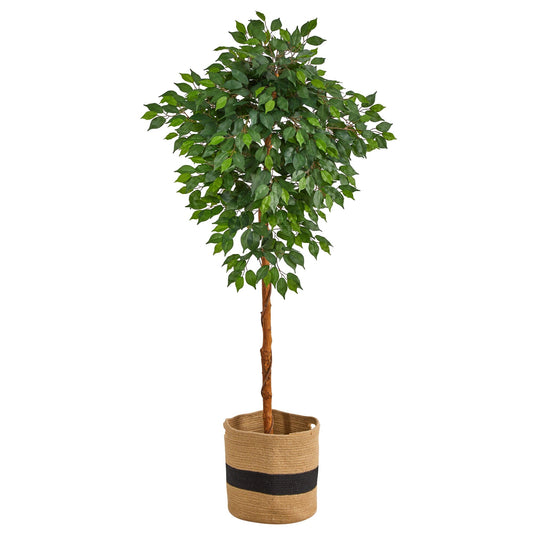 a tree in a pot