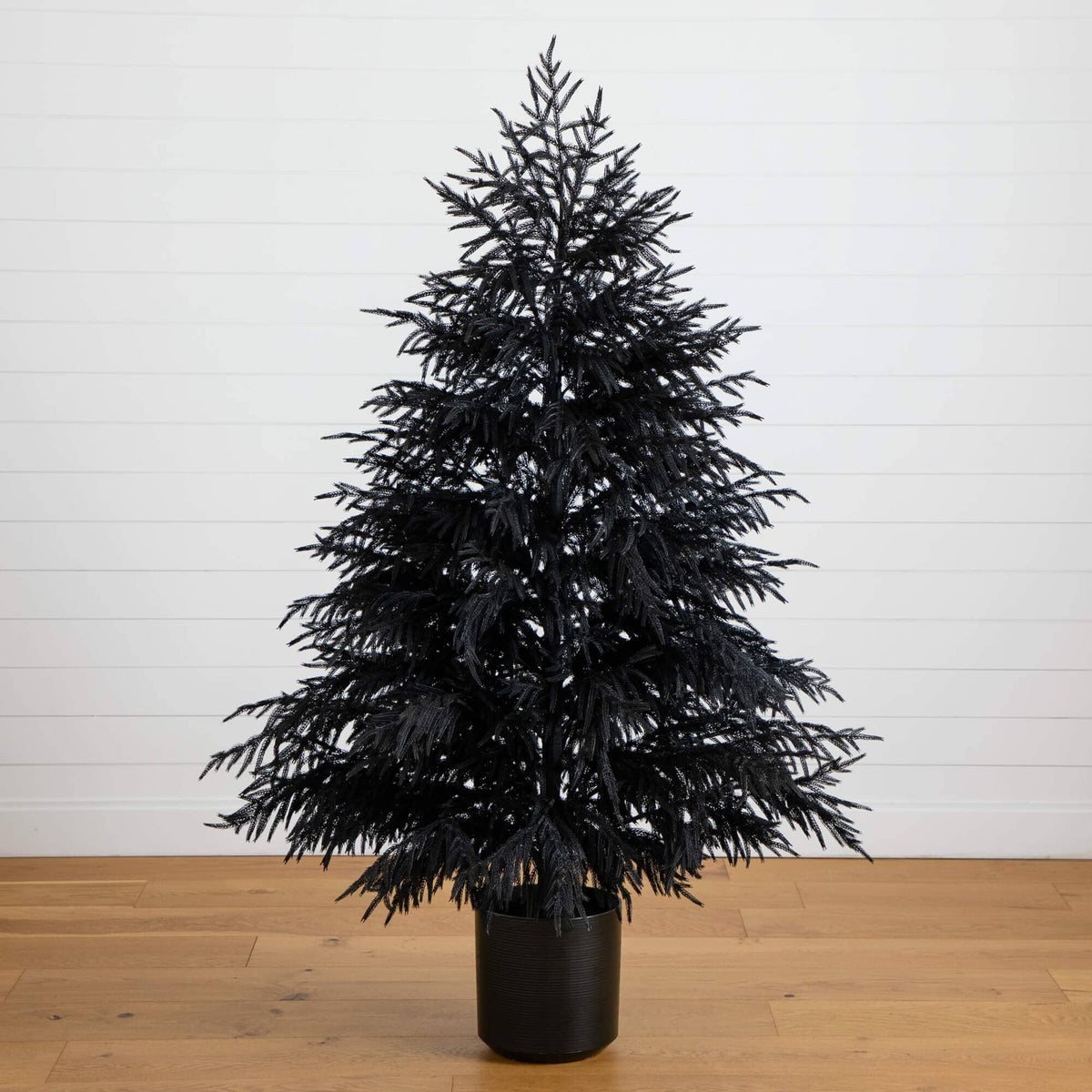 a black tree in a pot