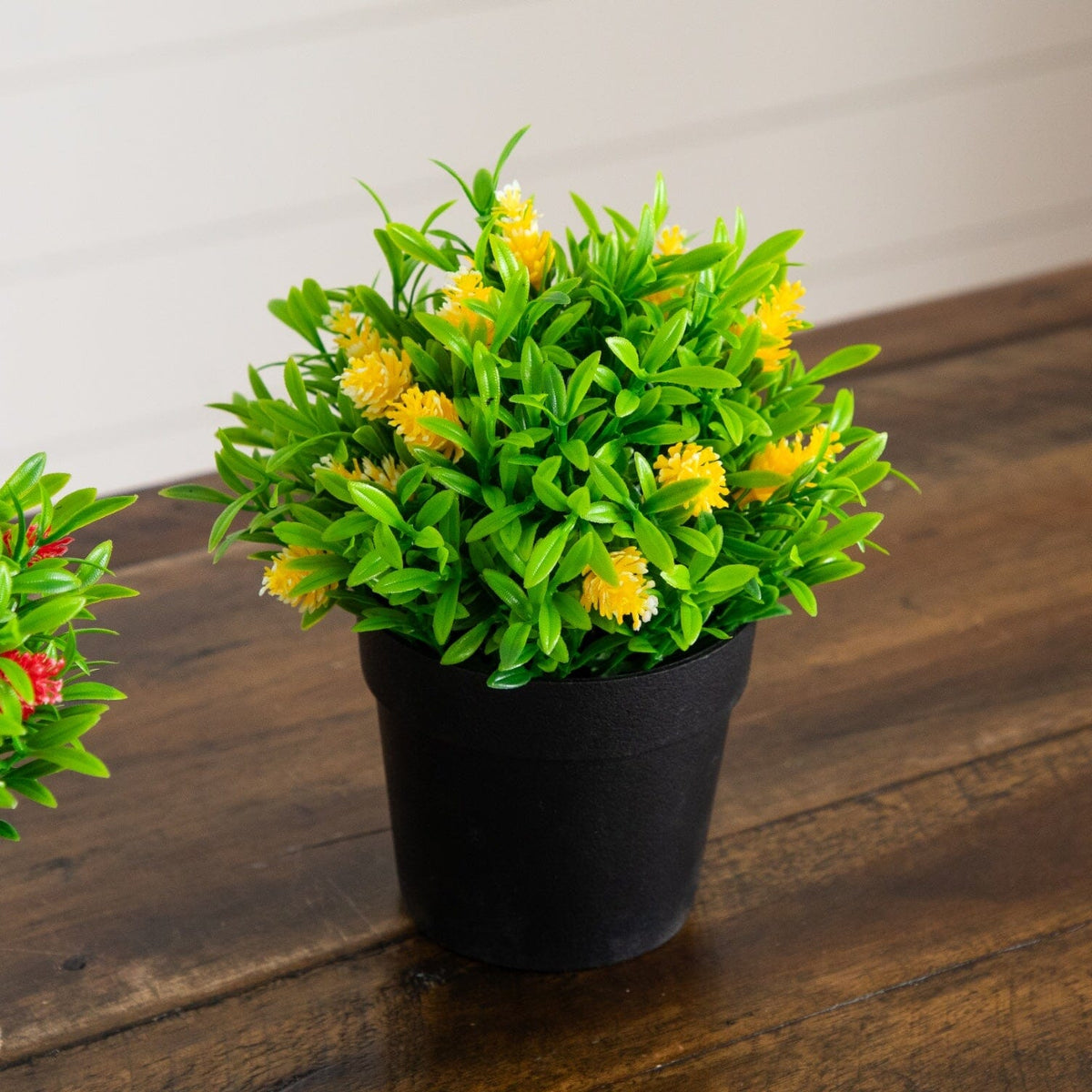 a potted plant with yellow flowers