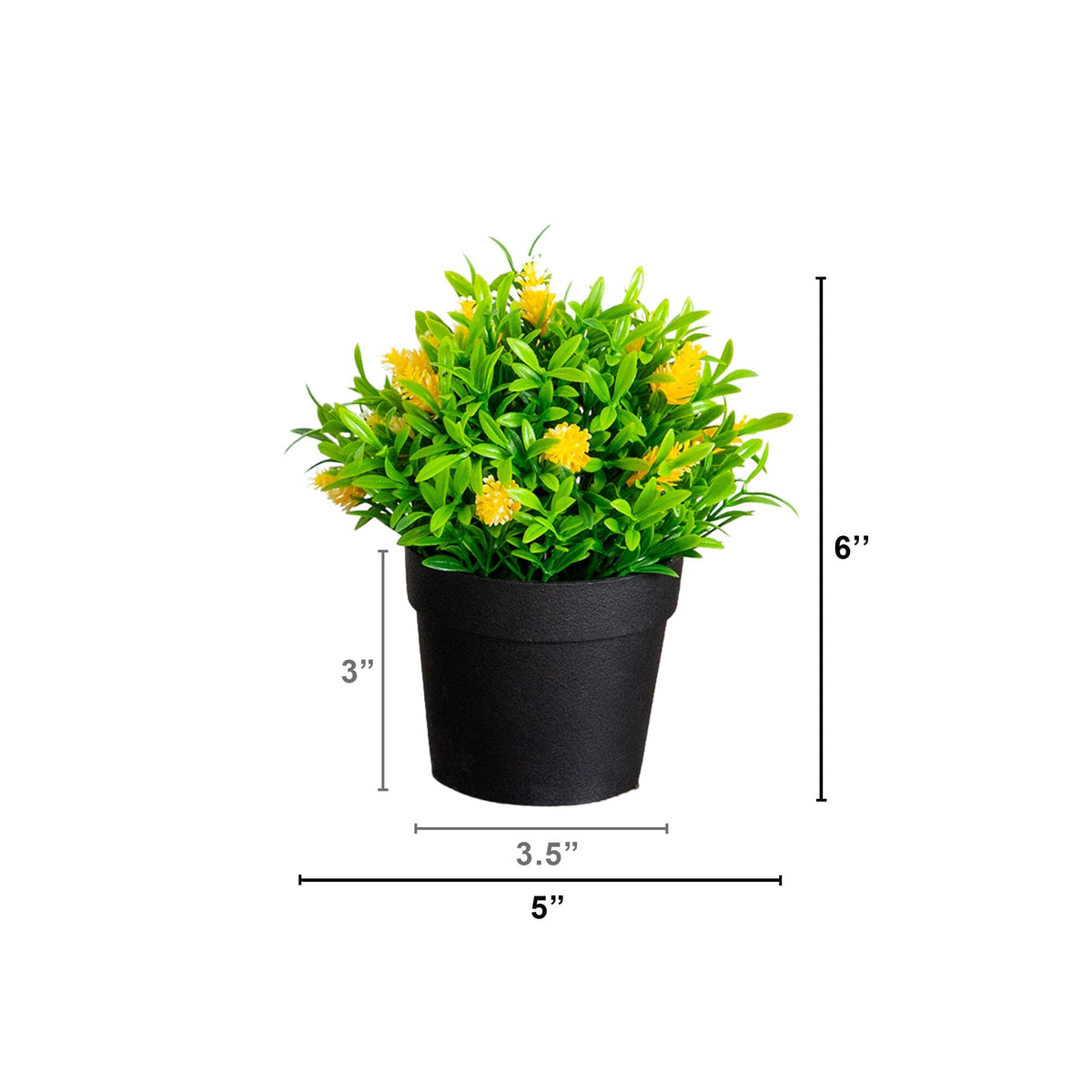 a small potted plant with yellow flowers