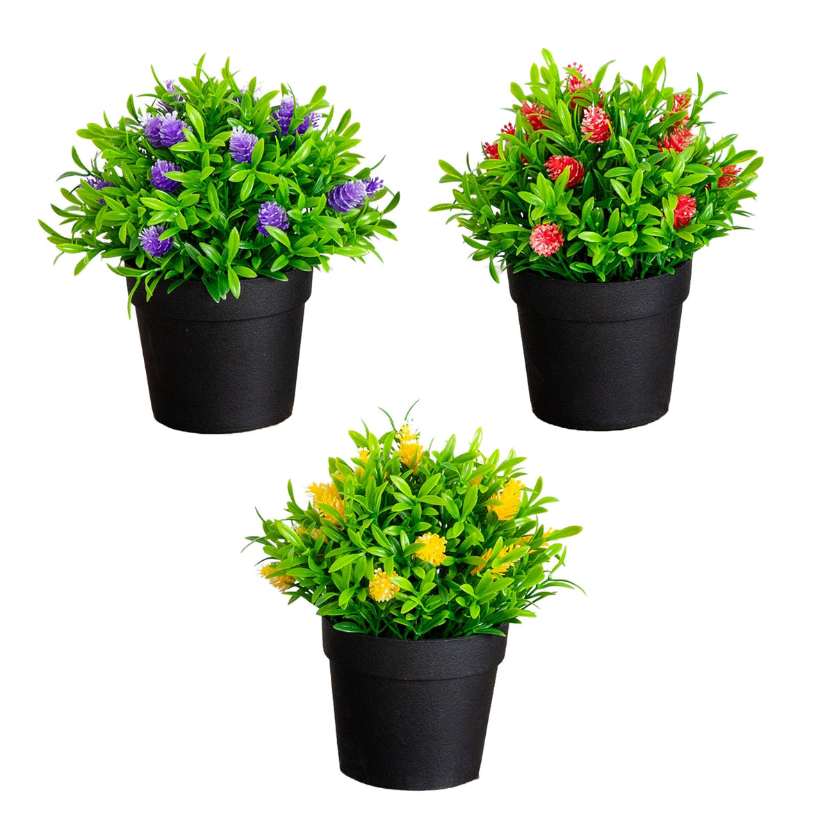 a group of potted plants