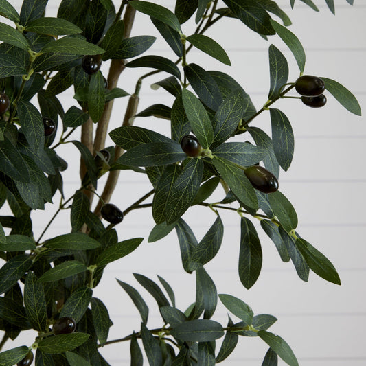 a plant with leaves and fruits