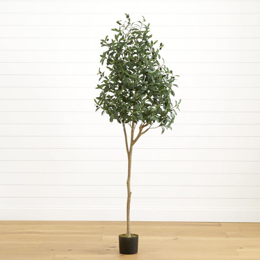 a tree in a pot