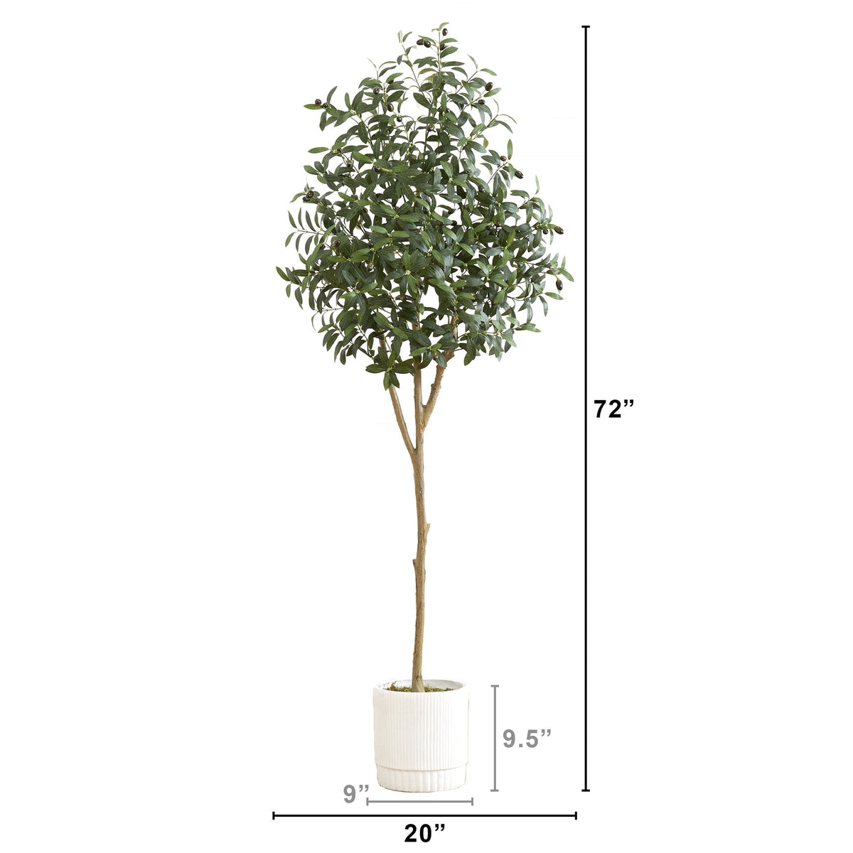 a tall tree in a white pot