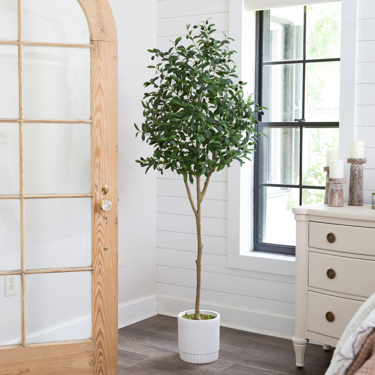 a tree in a white pot in front of a window