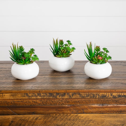 6" Artificial Succulent Garden in Ceramic White Planter - Set of 3