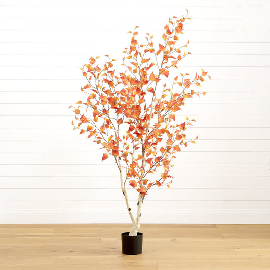 a tree in a pot