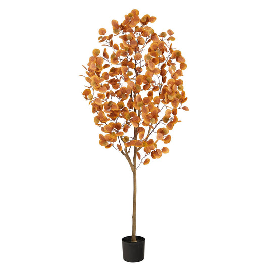 a tree in a pot