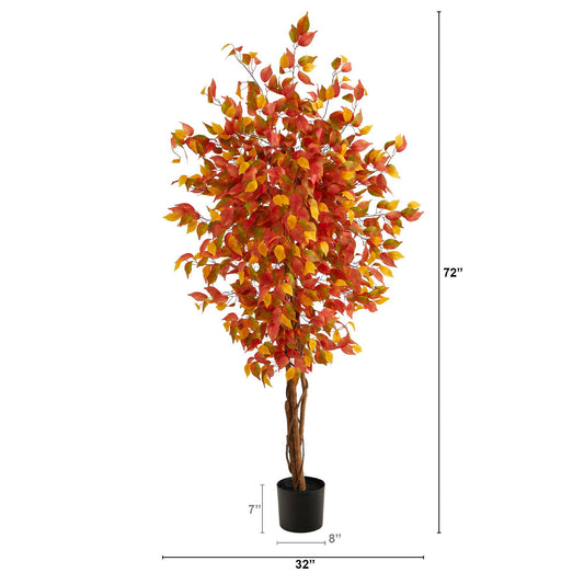 a tall tree with red and yellow leaves