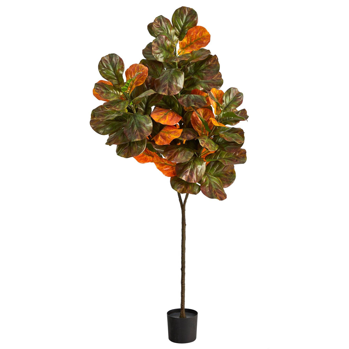 a potted plant with orange and green leaves