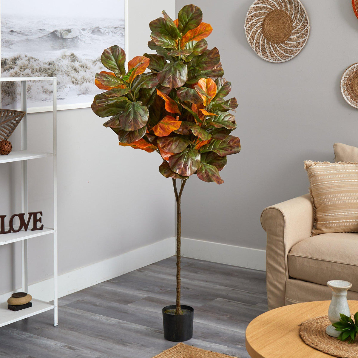 a plant in a pot in a room