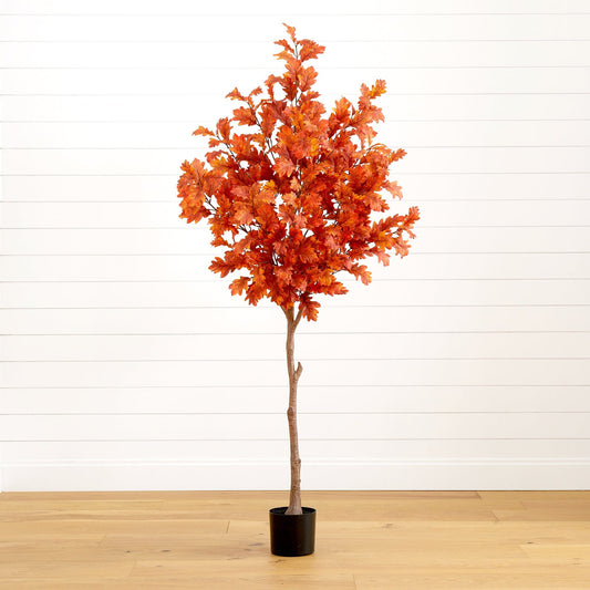 a tree in a pot