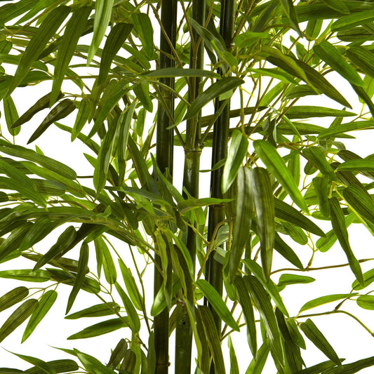 a close up of a plant