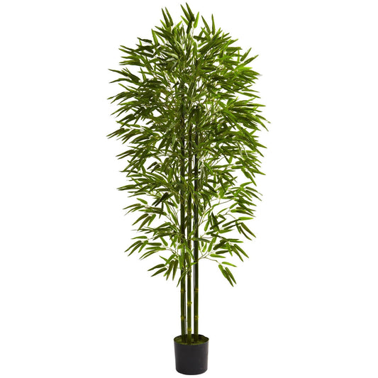 a green plant in a pot