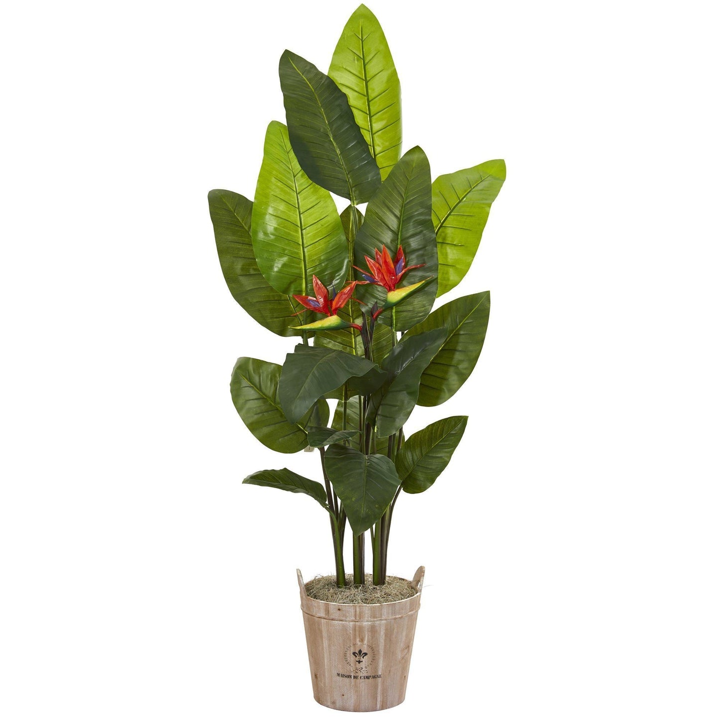 6’ Bird of Paradise Artificial Plant in Farmhouse Planter (Real Touch)