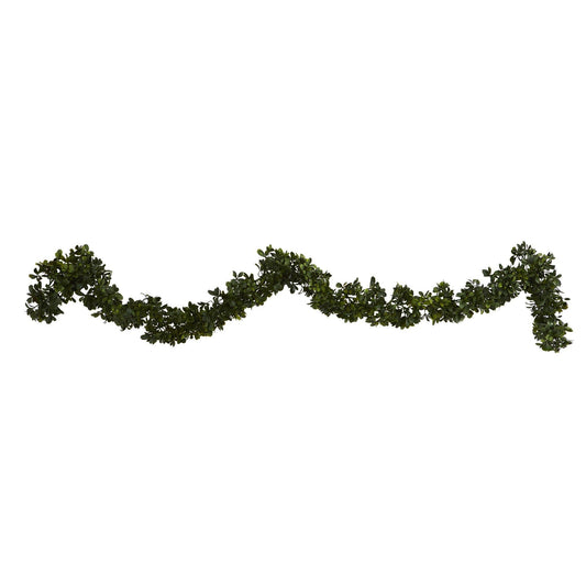 a green vine on a white background