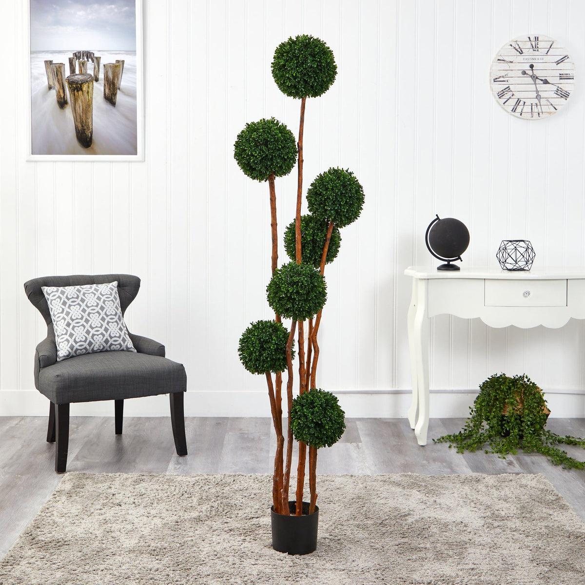 a plant in a room