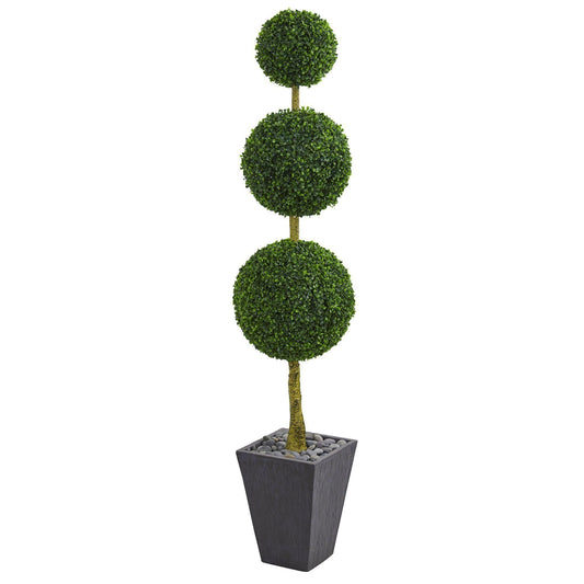 a plant in a pot