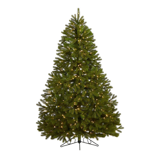 a christmas tree with lights