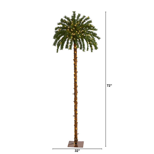 a tall palm tree with lights