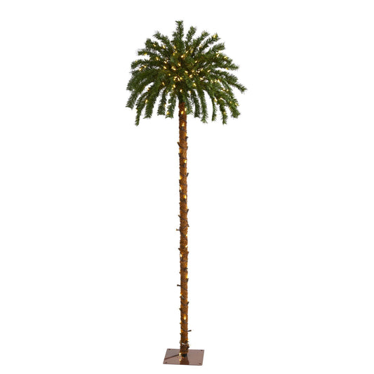 a palm tree with lights