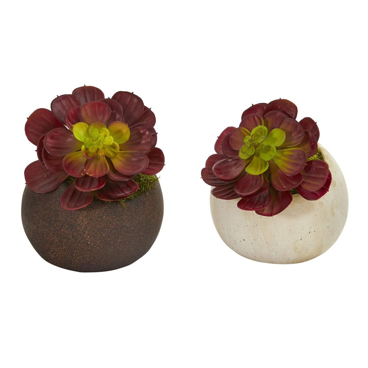 6” Echeveria Succulent Artificial Plant in Stone Planter (Set of 2)