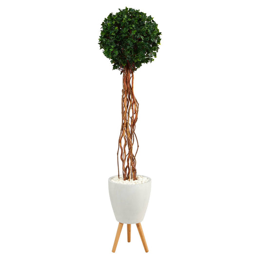 6’ English Ivy Single Ball Artificial Topiary Tree in White Planter with Stand (Indoor/Outdoor)