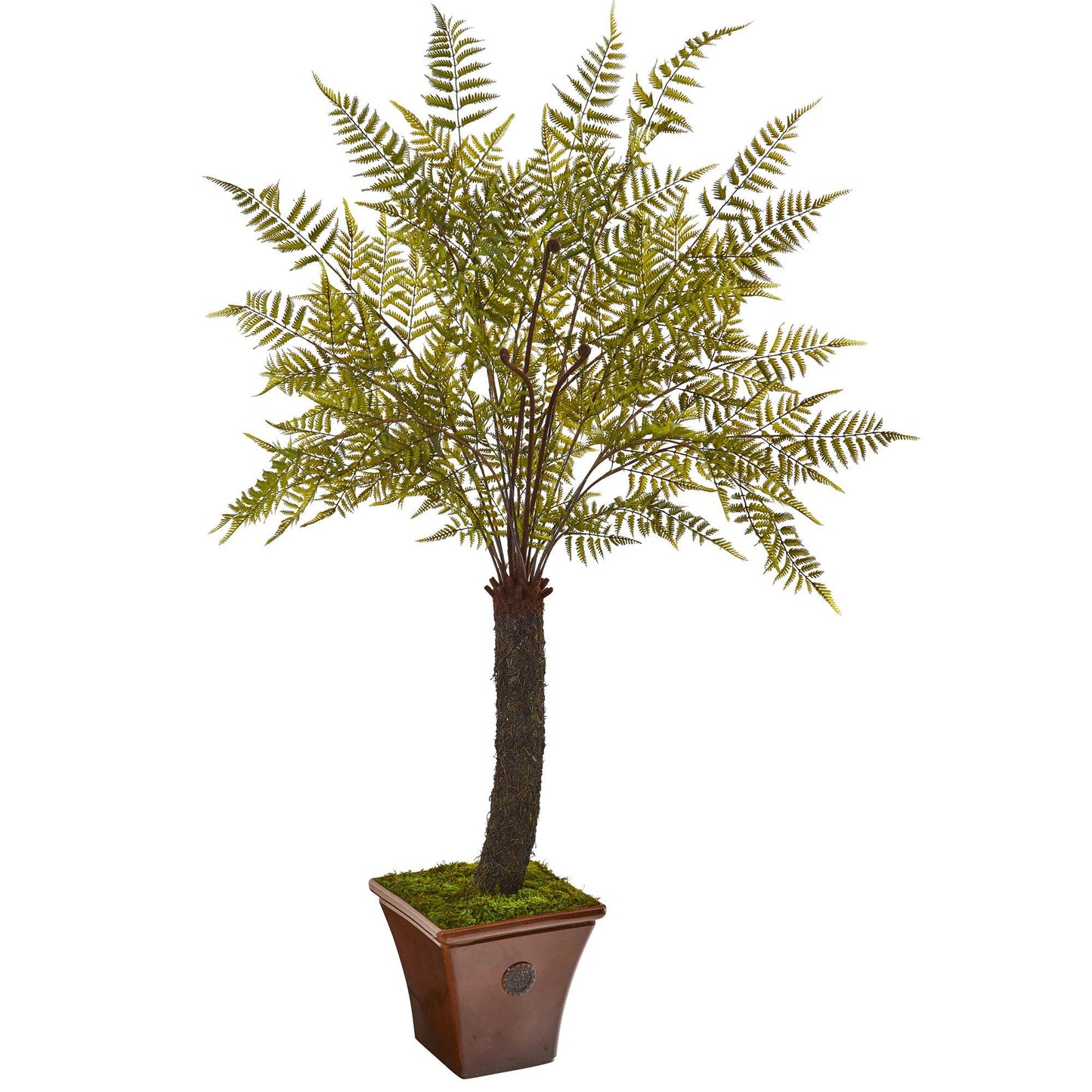6’ Fern Artificial Plant in Brown Planter