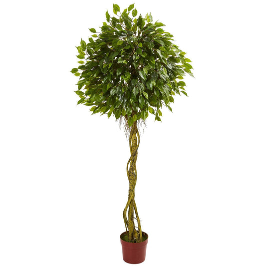 a plant in a pot