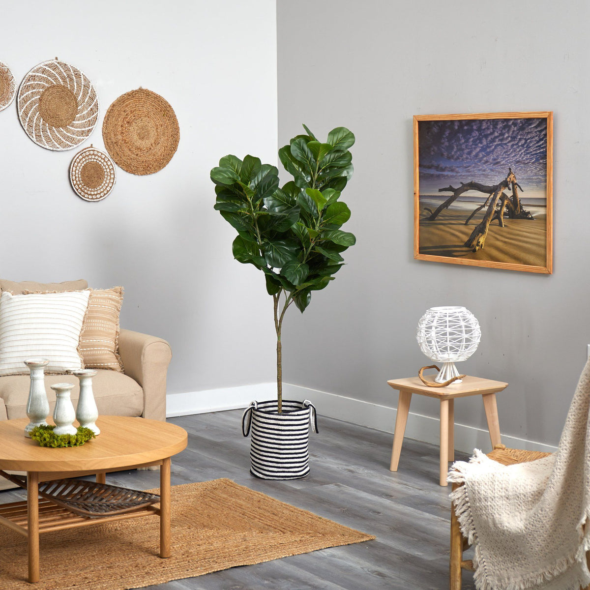a living room with a couch and a plant