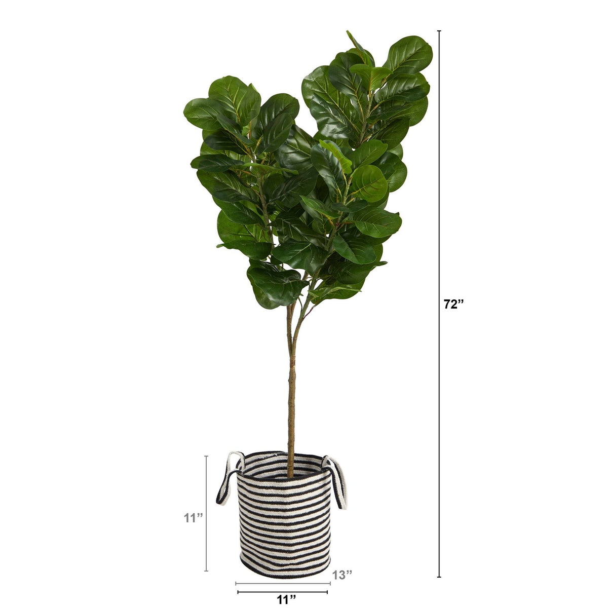 a plant in a pot with size